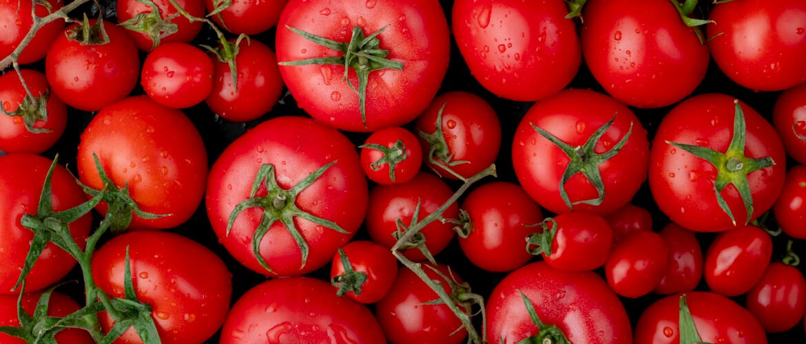 Tomato-scaled.jpg