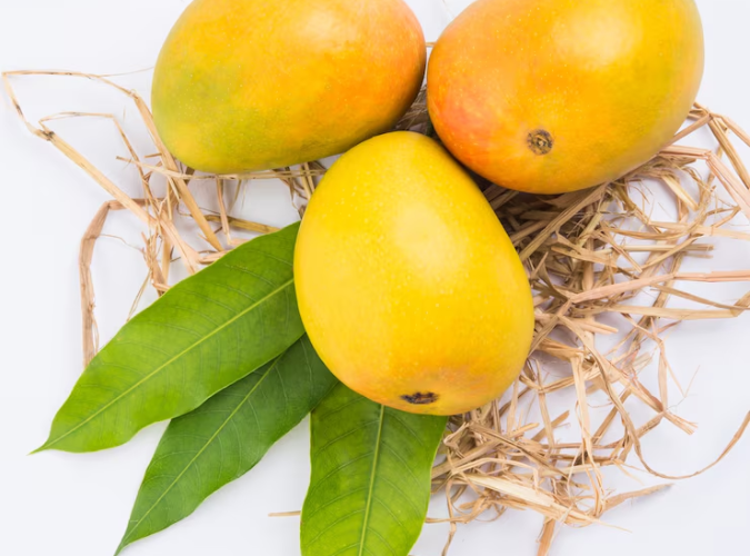 alphano-mango.png